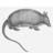 Animals armadillo icon 48x48