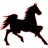 Animals horse flame outline icon 48x48