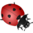 Animals ladybug icon 48x48