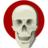 Human skull icon 48x48