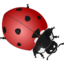 Animals ladybug icon 64x64