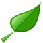 Plant leaf icon 64x64