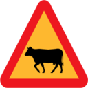 Pictograms road signs warning cows roadsign icon
