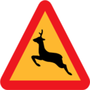 Pictograms road signs warning deer roadsign icon