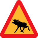 Pictograms road signs warning moose roadsign icon