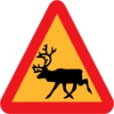 Pictograms road signs warning reindeer roadsign icon