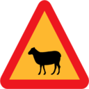 Pictograms road signs warning sheep roadsign icon