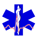 Pictographs paramedic cross icon