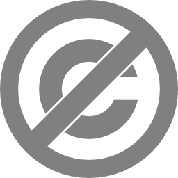 Licenses pd icon 256x256