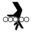 Pictograms aem rollers icon 32x32