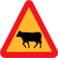 Pictograms road signs warning cows roadsign icon 64x64