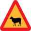 Pictograms road signs warning sheep roadsign icon 64x64