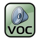 Audio voc icon