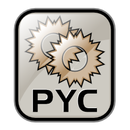 Application python bytecode icon 256x256