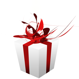 Giftbox icon 256x256