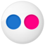 Social flickr button icon 64x64